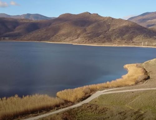 Λίμνη Ζάζαρη: Ενας υγροβιότοπος – πόλος έλξης για σπάνια είδη πανίδας (vid)