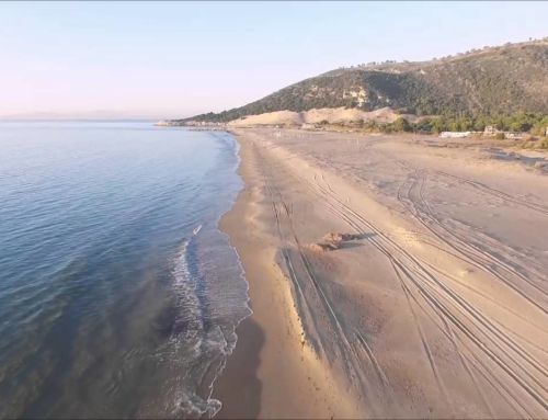 Παραλία Καλογριάς: Οταν η χρυσή αμμουδιά συναντά το πράσινο της Στροφυλιάς (vid)