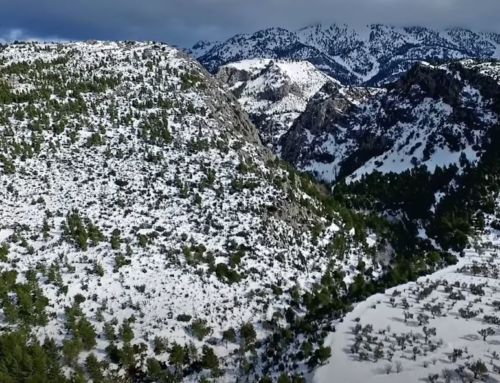 Όρος Δίρφυς: Η «χιονομάνα» της Εύβοιας…