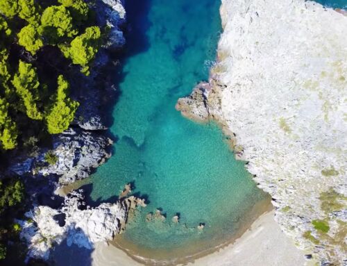 Αυτές είναι οι παραλίες στη Βλαχιά της Βόρειας Εύβοιας που πρέπει να επισκεφτείς