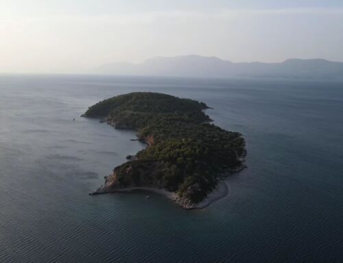Εγγλεζονήσι: Το καταπράσινο ακατοίκητο νησάκι απέναντι από τη Χαλκίδα