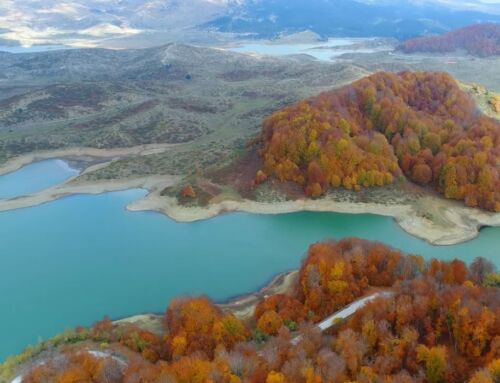 Λίμνη Αώου: Φοράει τα… φθινοπωρινά της χρώματα και καθηλώνει