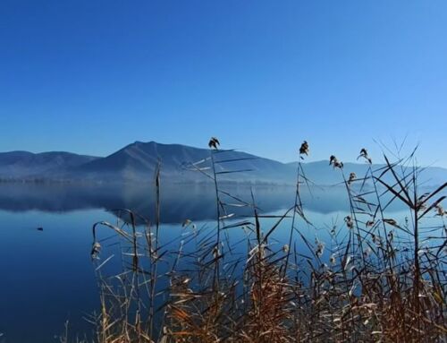 Λίμνη Καστοριάς: Σχηματίστηκε πριν από 10 εκατομμύρια χρόνια…